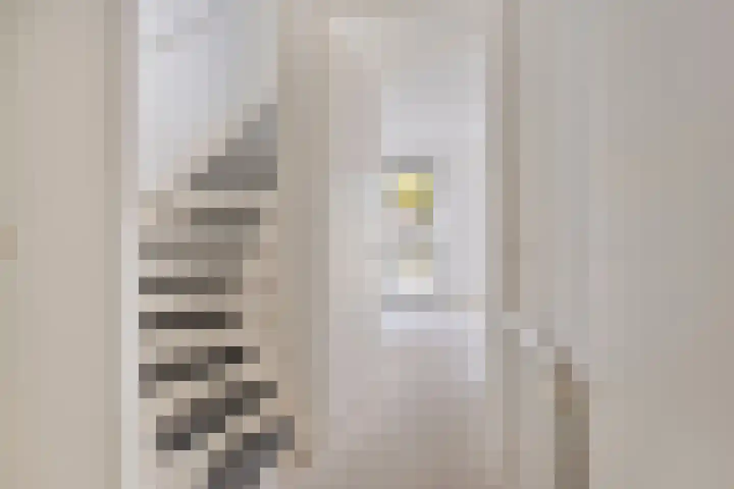 Pieter Belsstraat 84 Horst thumbnail 5