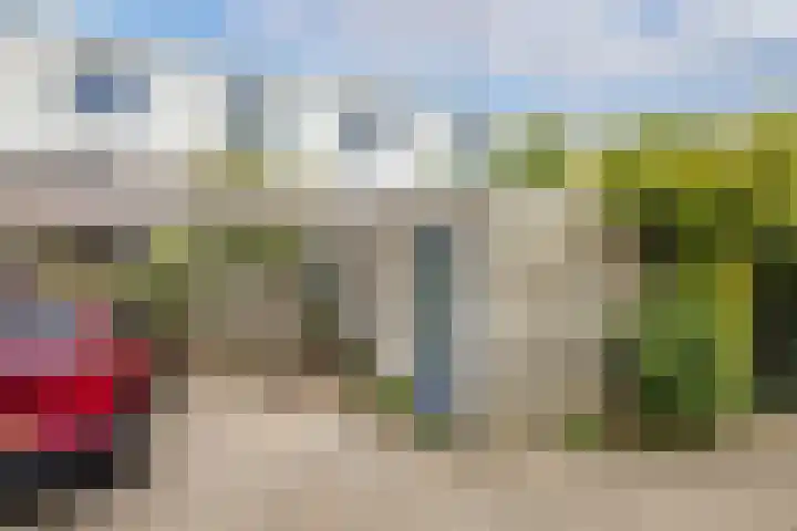 Pieter Bernagiestraat 19 Utrecht thumbnail 35