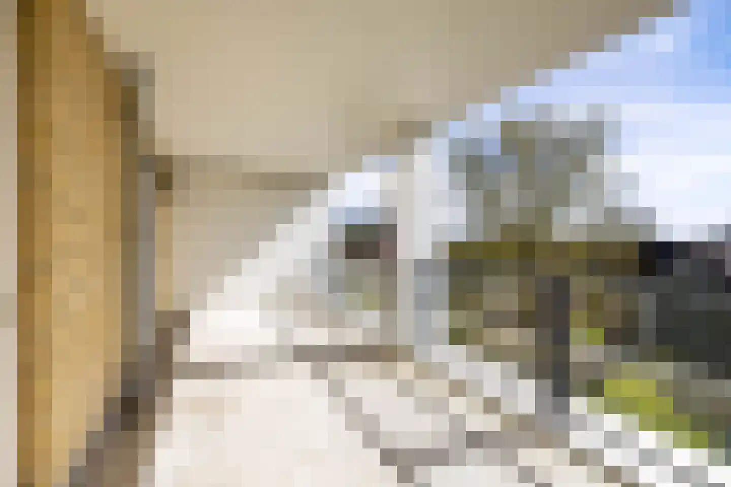 Pieter Bieremastraat 27 Appingedam thumbnail 27
