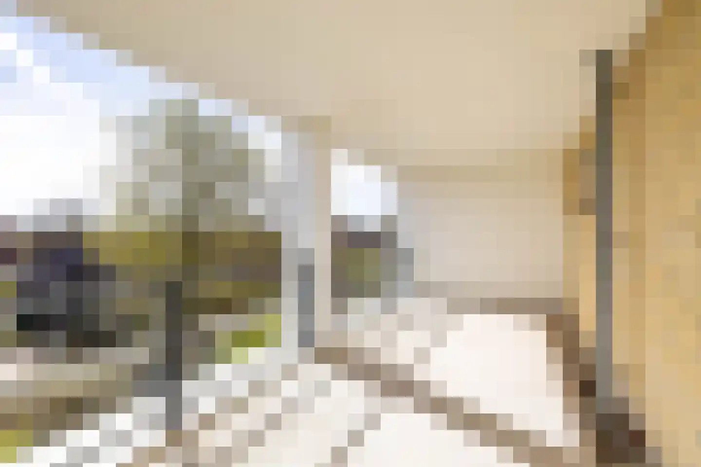 Pieter Bieremastraat 27 Appingedam thumbnail 47