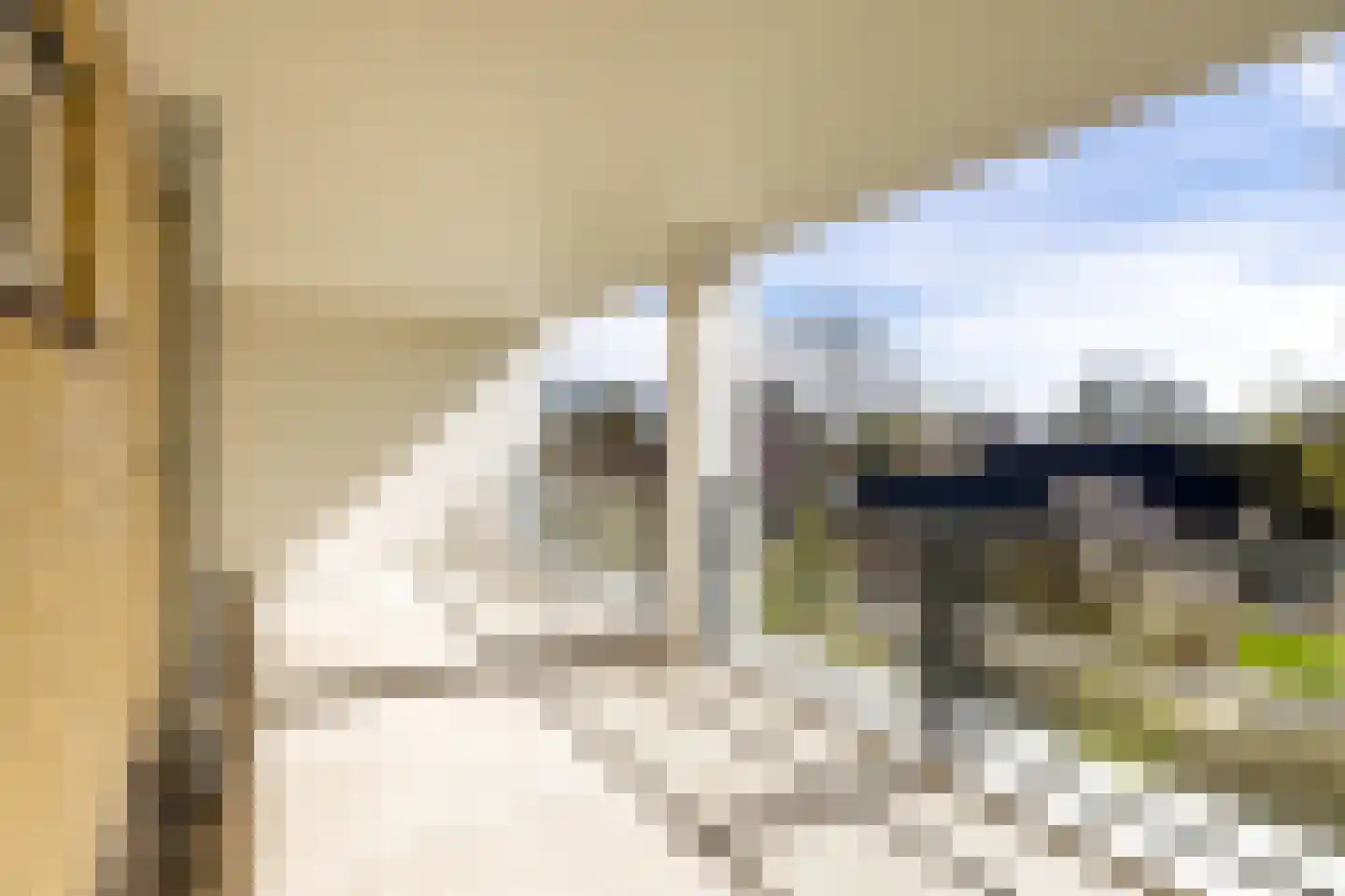 Pieter Bieremastraat 27 Appingedam thumbnail 48