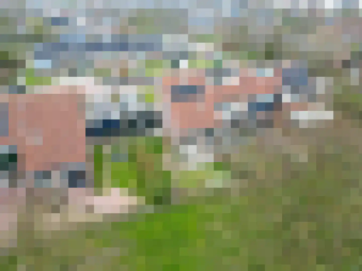 Pieter Bieremastraat 8 Usquert thumbnail 4