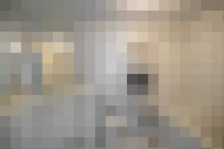 Pieter Bindervoetlaan 12 Zuidhorn thumbnail 21
