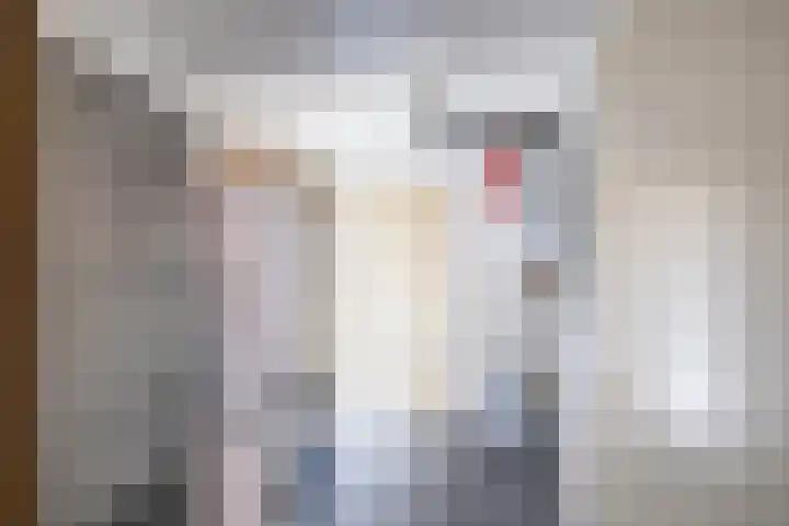 Pieter Bindervoetlaan 12 Zuidhorn thumbnail 23