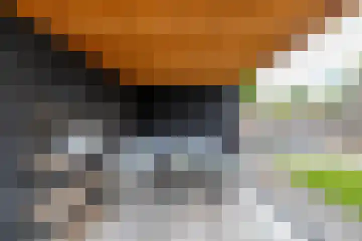 Pieter Bindervoetlaan 12 Zuidhorn thumbnail 25