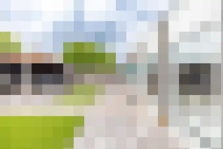 Pieter Bindervoetlaan 12 Zuidhorn thumbnail 27