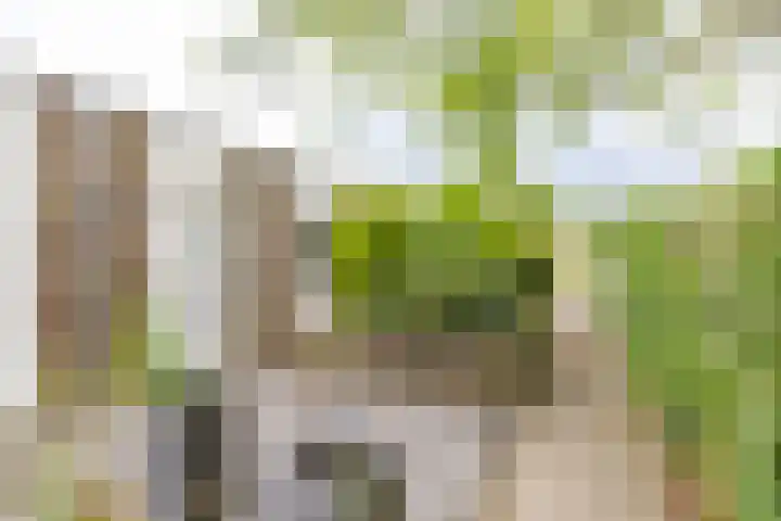 Pieter Bindervoetlaan 12 Zuidhorn thumbnail 30