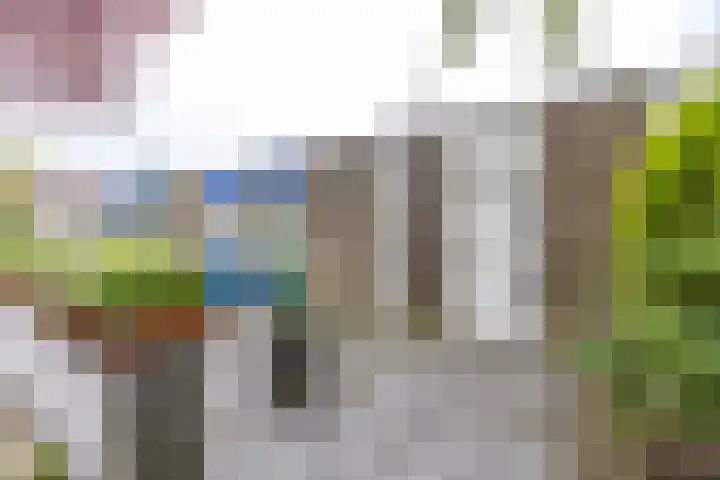 Pieter Bindervoetlaan 12 Zuidhorn thumbnail 31