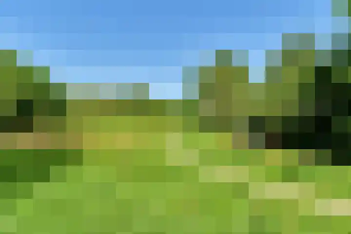 Pieter Bindervoetlaan 13 Zuidhorn thumbnail 31