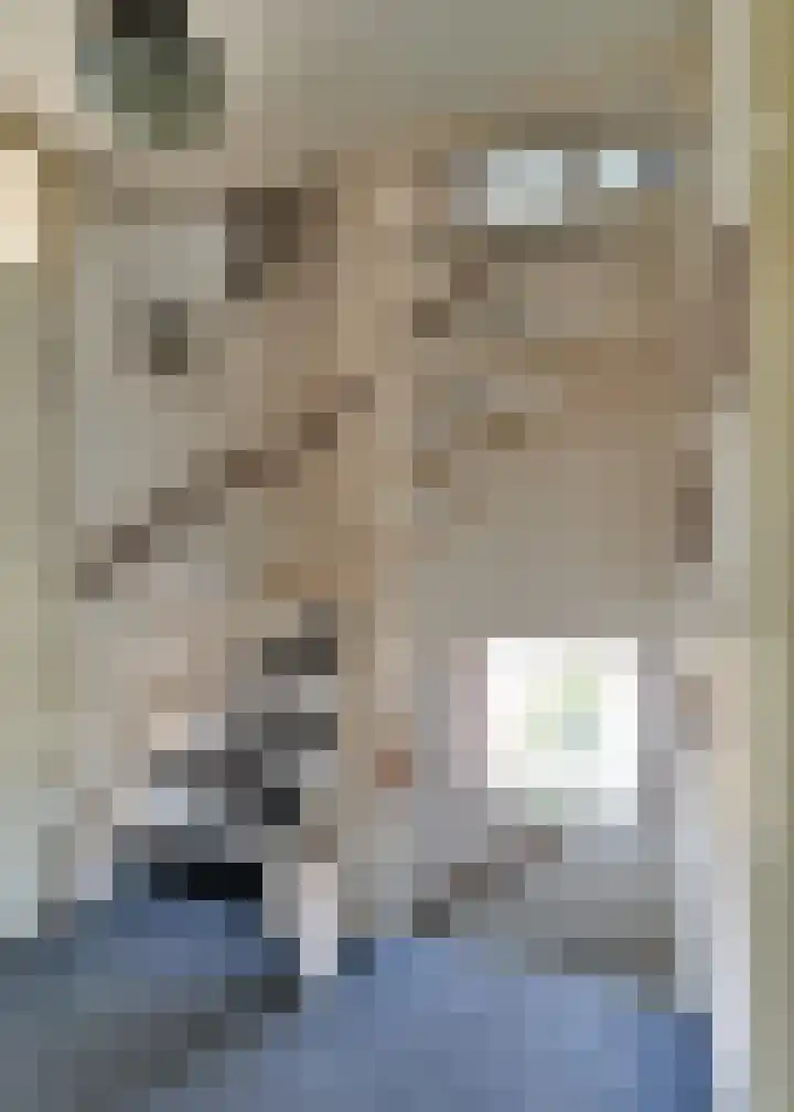 Pieter Bindervoetlaan 13 Zuidhorn thumbnail 9