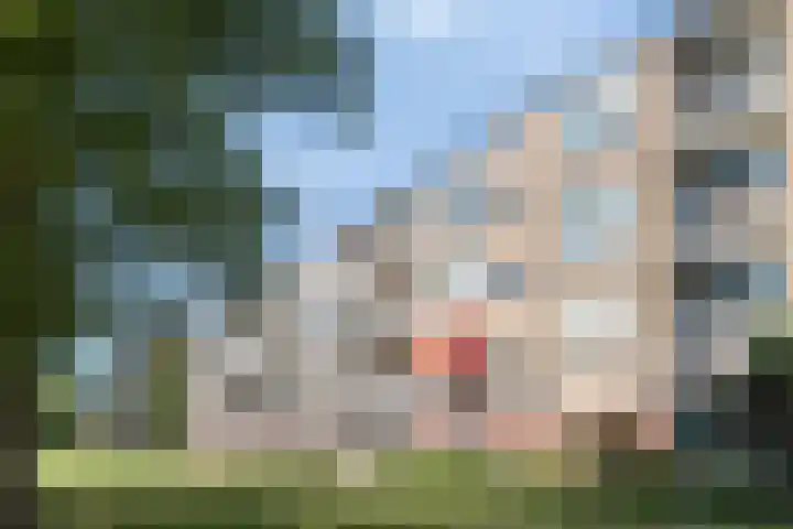 Pieter Boddaertstraat 34 Middelburg thumbnail 21