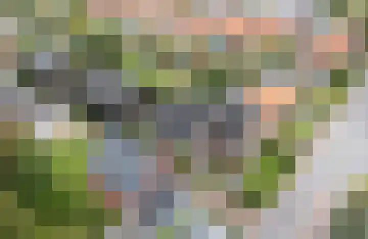 Pieter Boorsmapad 2 Amsterdam thumbnail 9