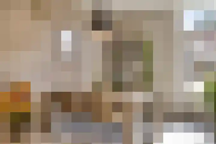 Pieter Borpad 12 Eindhoven thumbnail 13