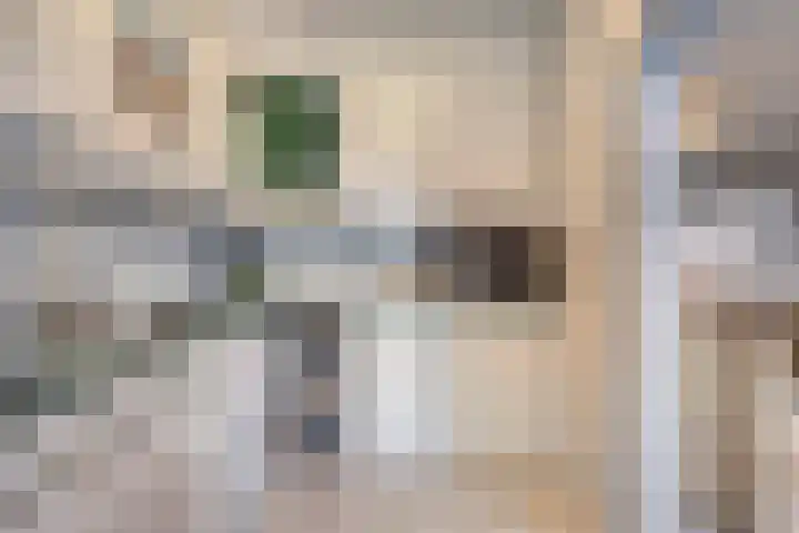 Pieter Borpad 12 Eindhoven thumbnail 17
