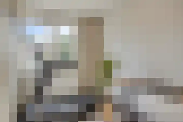Pieter Borpad 12 Eindhoven thumbnail 27