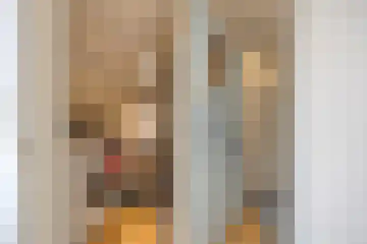 Pieter Borpad 12 Eindhoven thumbnail 28