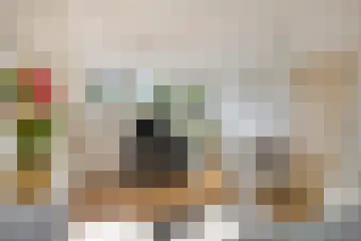 Pieter Borpad 12 Eindhoven thumbnail 31