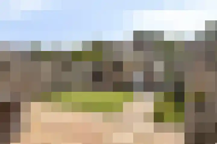 Pieter Borpad 12 Eindhoven thumbnail 32
