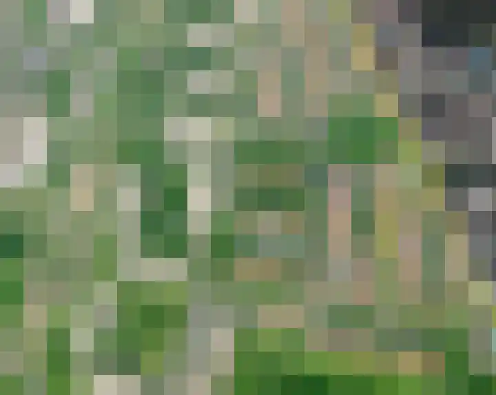 Pieter Borpad 12 Eindhoven thumbnail 38