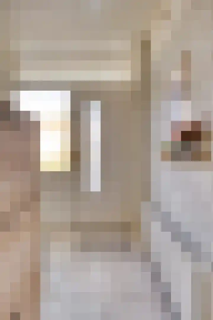 Pieter Borpad 12 Eindhoven thumbnail 5