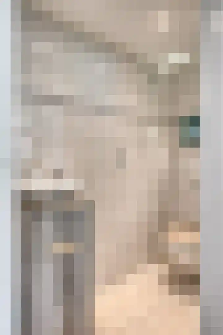 Pieter Borpad 12 Eindhoven thumbnail 6