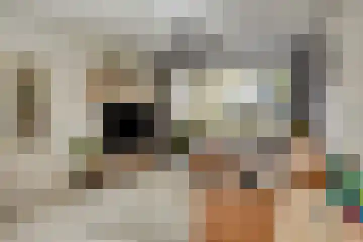 Pieter Borpad 12 Eindhoven thumbnail 7