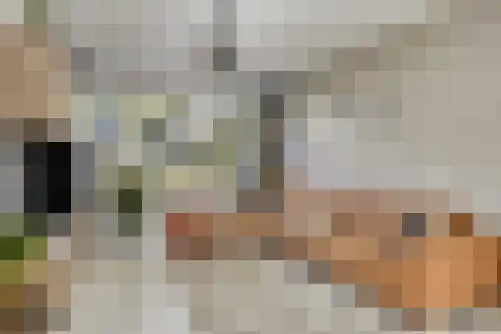 Pieter Borpad 12 Eindhoven thumbnail 8