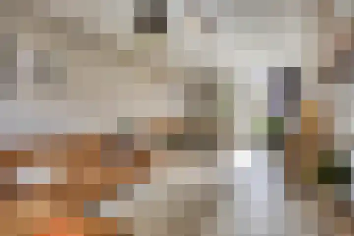 Pieter Borpad 12 Eindhoven thumbnail 9