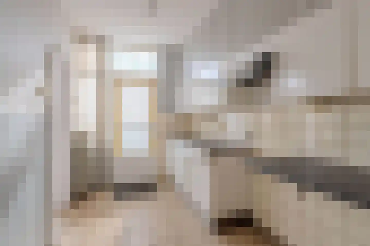 Pieter Borpad 4 Eindhoven thumbnail 12