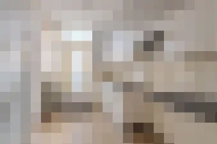 Pieter Borpad 4 Eindhoven thumbnail 12