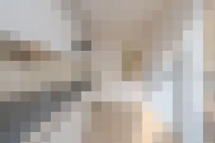 Pieter Borpad 4 Eindhoven thumbnail 13