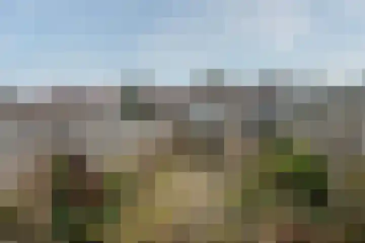 Pieter Borpad 4 Eindhoven thumbnail 19