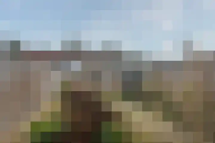 Pieter Borpad 4 Eindhoven thumbnail 20