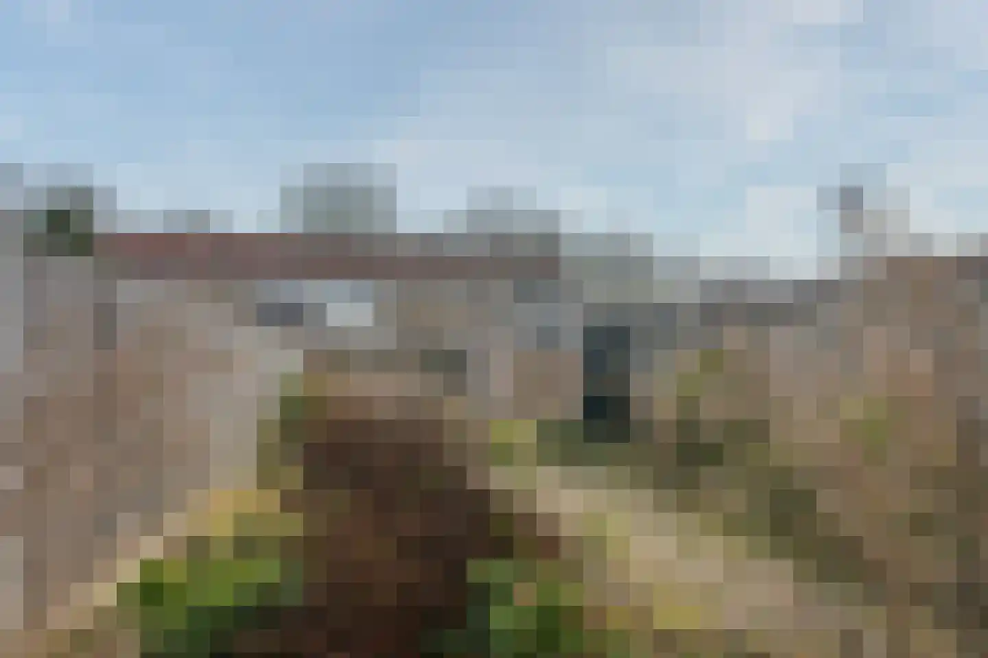 Pieter Borpad 4 Eindhoven thumbnail 20