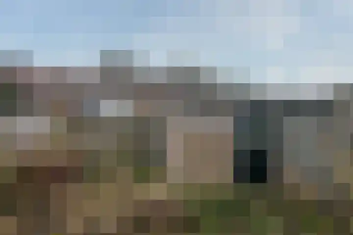 Pieter Borpad 4 Eindhoven thumbnail 21
