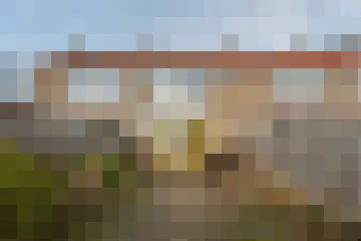 Pieter Borpad 4 Eindhoven thumbnail 22