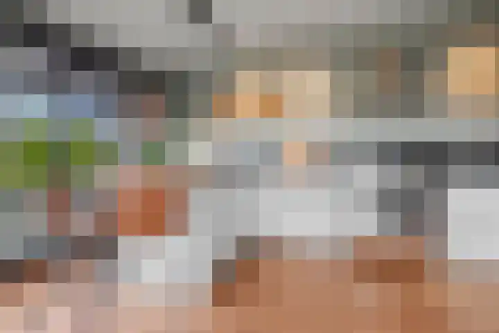 Pieter Borstraat 2 C 's-Hertogenbosch thumbnail 12