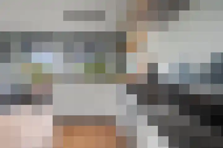 Pieter Borstraat 2 C 's-Hertogenbosch thumbnail 13