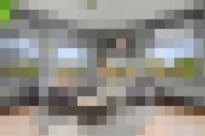 Pieter Borstraat 2 C 's-Hertogenbosch thumbnail 4