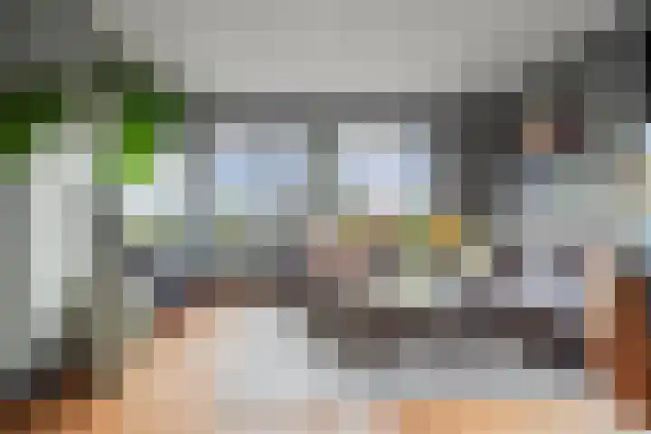 Pieter Borstraat 2 C 's-Hertogenbosch thumbnail 5