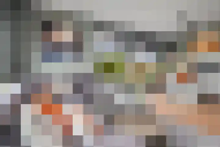 Pieter Borstraat 2 C 's-Hertogenbosch thumbnail 6