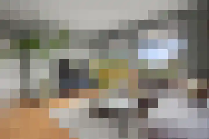 Pieter Borstraat 2 C 's-Hertogenbosch thumbnail 7