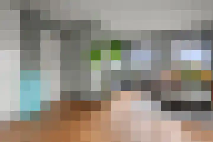 Pieter Borstraat 2 C 's-Hertogenbosch thumbnail 8