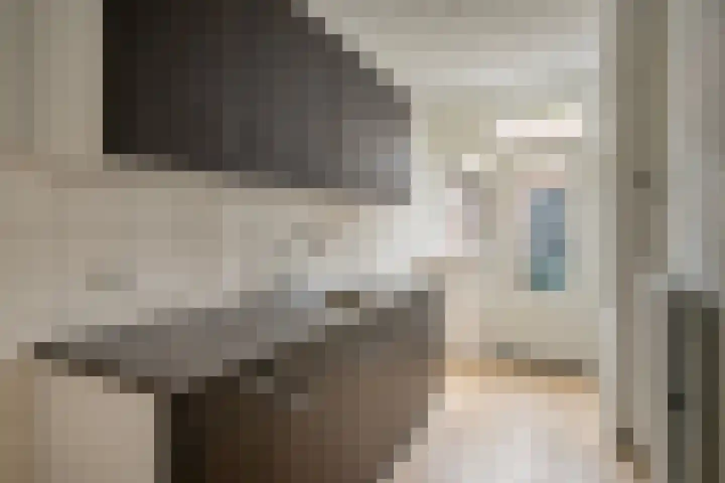 Pieter Borstraat 6 's-Hertogenbosch thumbnail 6