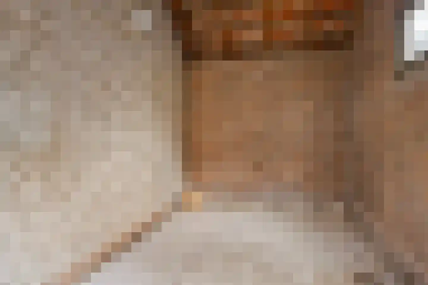 Pieter Borstraat 6 's-Hertogenbosch thumbnail 8