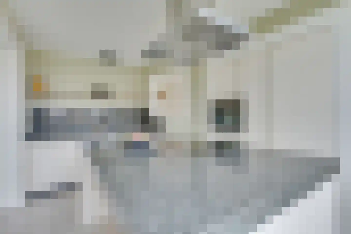 Pieter Bossenstraat 1 Hoogwoud thumbnail 17