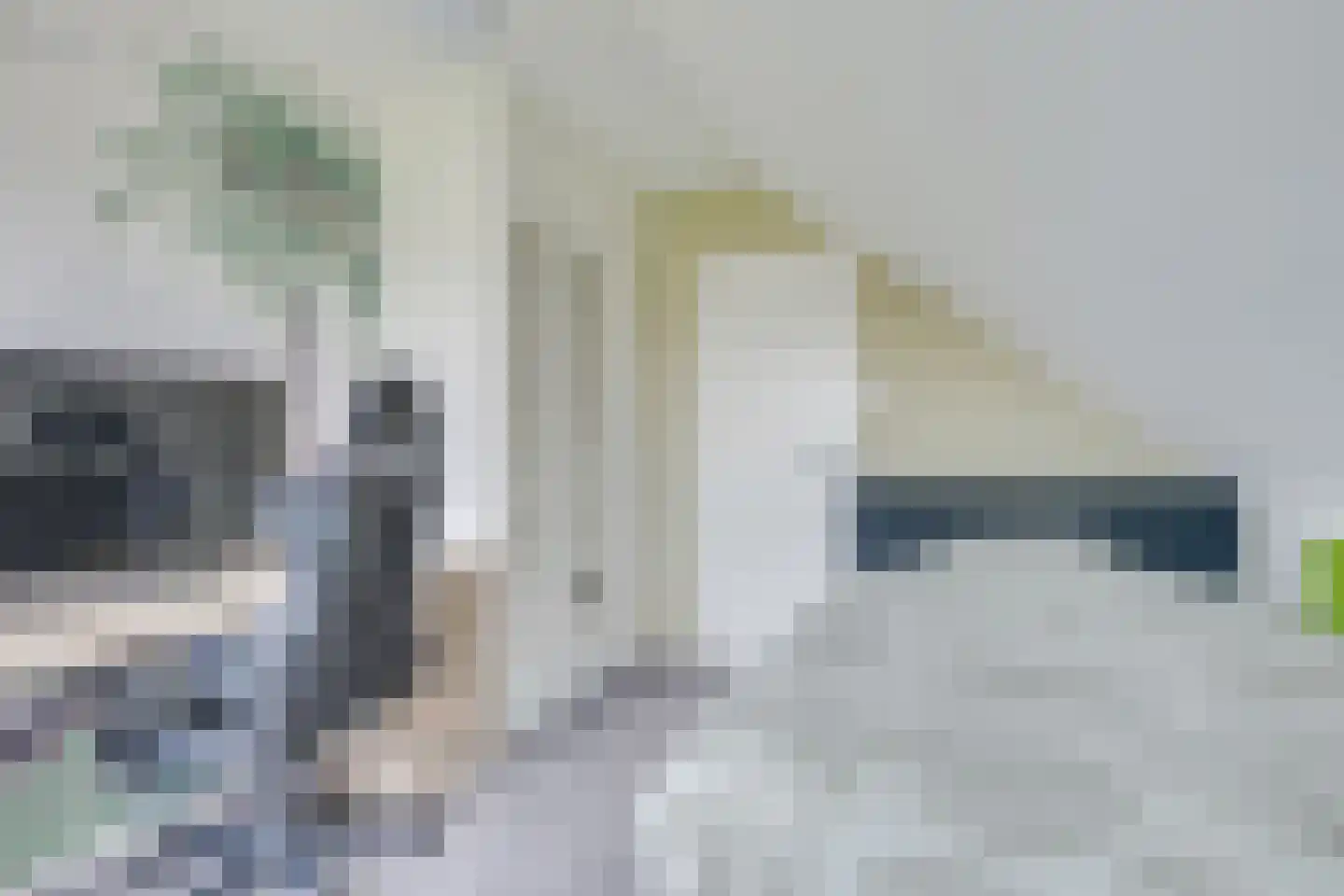 Pieter Bossenstraat 1 Hoogwoud thumbnail 35