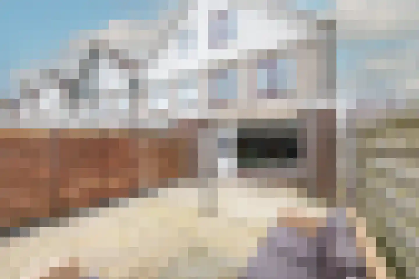 Pieter Bossenstraat 1 Hoogwoud thumbnail 39
