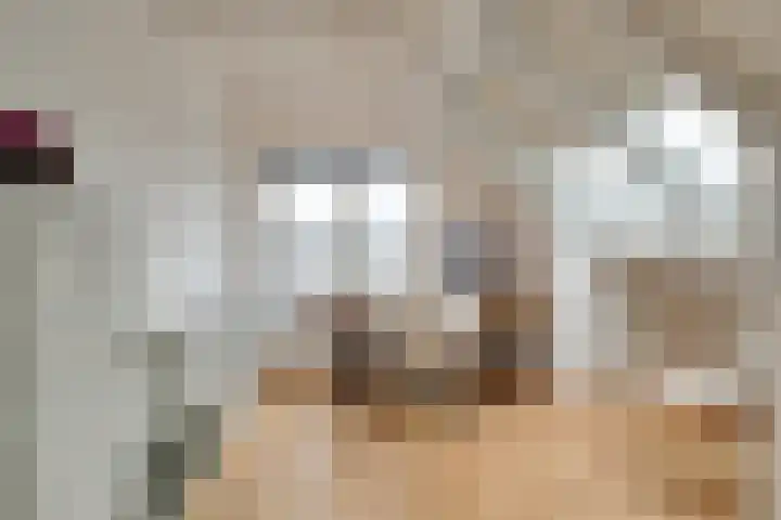 Pieter Bossenstraat 27 Hoogwoud thumbnail 10