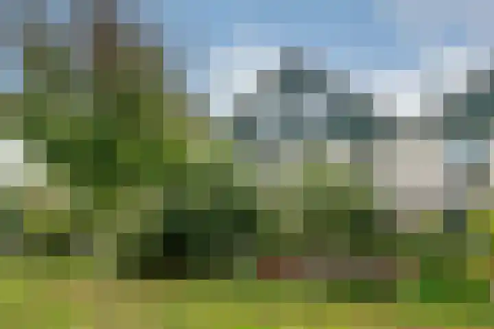 Pieter Bossenstraat 27 Hoogwoud thumbnail 12